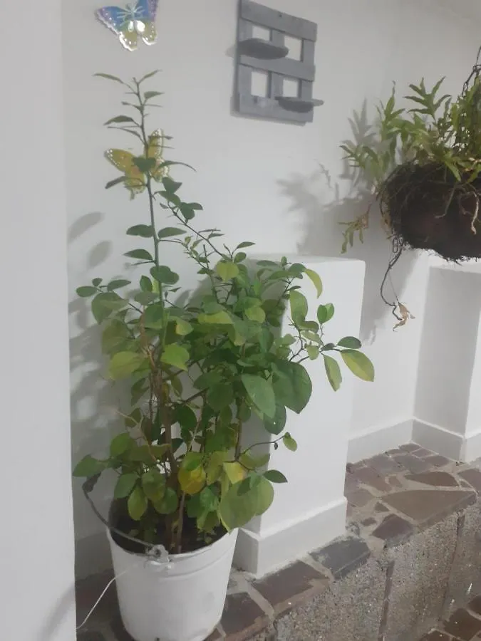 Affittacamere Private Room Mh102 Close To Old City Cartagena